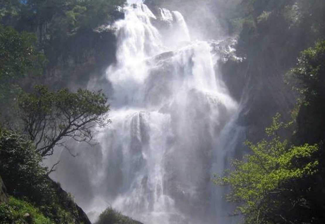 4 Days Safari to Mikumi National Park & Udzungwa Mountains National Park